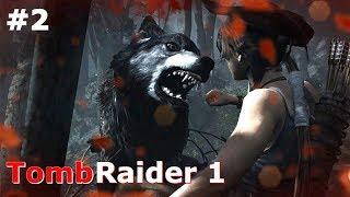 Tomb Raider 1 ► BO'RILAR BILAN JANG #2