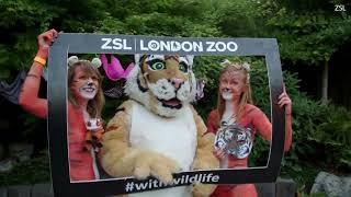 Easy, tigers! Hundreds bare all for London Zoo's annual naked run with just body paint to protect th