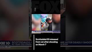 Good news: #Scottsale PD's K9 Rocco is recovering after shooting | FOX 10 Phoenix