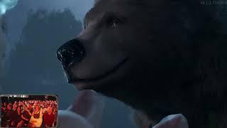 Bear in the Baldur's Gate 3