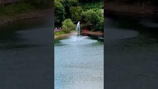 Fountain in a Lake