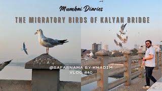 The Migratory Birds of Kalyan Bridge | A Nature Lover’s Delight | Mumbai Diaries | Episode 4 | Vlog