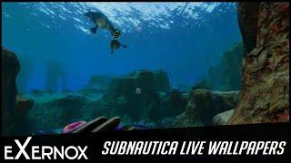 Subnautica Live Wallpaper FHD - Safe Shallows