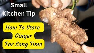 అల్లం ఎక్కువకాలం పాడవకుండా Fresh గా ఉండాలంటే | Store Ginger | Kitchen Tips | Rama Cooking Style