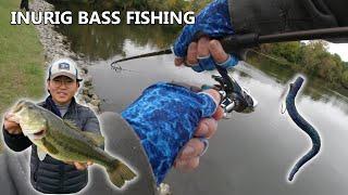 Bass Fishing with the INURIG!! + Rigging Tips