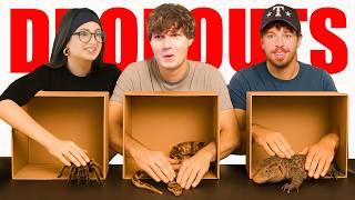 What's In the Box? *Exotic Animal Edition* | Dropouts Podcast
