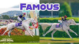 BUYING A WHITE RACEHORSE! Famous Racehorses #3 - Rival Stars Horse Racing | Pinehaven