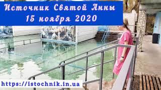 Источник Святой Анны. 15 ноября 2020 года. Отзывы о купании.