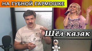 Шёл казак на губной гармошке
