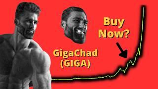 Who is buying Gigachad?  GIGA Crypto Token Analysis