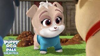 Meet Keia!  | Puppy Dog Pals | Disney Junior