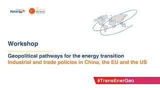 Workshop ‘Geopolitical pathways for the energy transition"