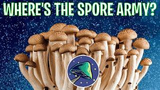 SPORE CRYPTO NEWS: WHERE'S THE SPORE ARMY AND WHERE'S THE Q1 TOKENOMICS REPORT? | SPORE FINANCE