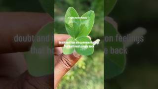 6 signs you’re a Bada$$  #Motivational #Inspirational #FourLeafClover #LuckyCharmDon