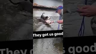 #they #got #us #good #bro #damostuglyiesy