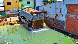 Start First New Project Landfill !! Bulldozer ,  Truck 5T Push Soil Pour dirt in wet soil measuring