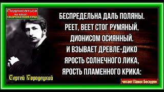 Беспредельна даль полян , Сергей Городецкий ,Русская Поэзия ,читает Павел Беседин