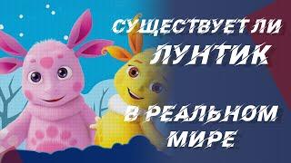 Существует ли Лунтик в реальной жизни?