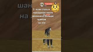 фишки для вилд крафта которые мало кто знает #wildcraft #волки #реки #игры #1827