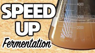How to MAKE A YEAST STARTER (BEER)