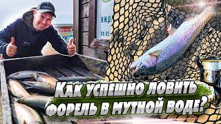 Ловля форели в мутной воде | Cтрейч силикон, ловля форели на резину