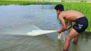 Very Amazing Net Fishing - New Fishing Video - Cast Net Fishing Video In River