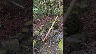 ASMR Japanese Gardens #travel #asmr