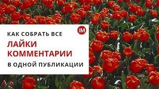 Как собрать все лайки и комментарии в одной публикации с помощью рекламного кабинета Facebook