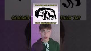 Сколько тут животных? #challenge #а4 #shorts