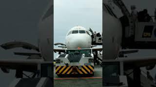 Passengers Boarding on Plane