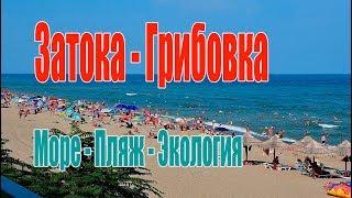 Затока Грибовка Отдых Море Пляжи. Экология Черного моря в Одесской области.