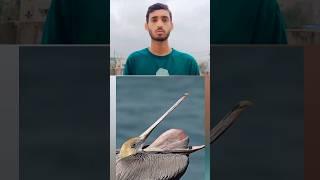 अल्लाह #islamicvideo#shorts#status#tiktok#trending#12rabiulawa#youtubeshorts#allah#cartoon