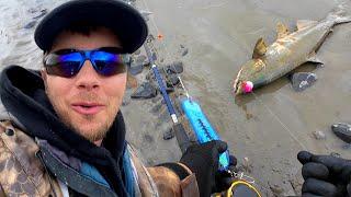 Fishing for King Salmon in Alaska… Then This Happened!