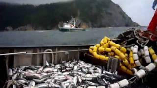 Fishing in AK (P1020357.MOV)