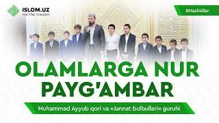 Olamga nur Payg'ambar | Muhammad Ayyub qori va «Jannat bulbullari» guruhi