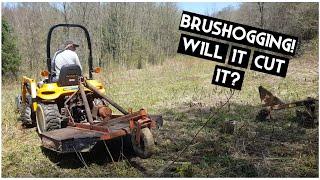 Will It Cut It? Clearing Land With A Brush Hog