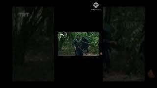 Bamsi roar of the lion best fight scenes vassilius shocked