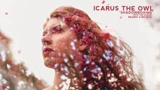 Icarus The Owl - Shadowboxing