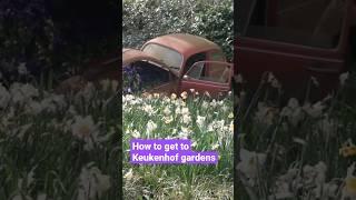 How to get to Keukenhof gardens from Amsterdam