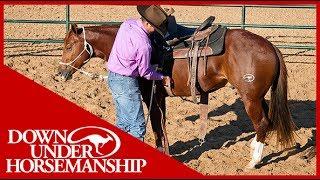 Clinton Anderson: An Overview of Starting a Colt - Downunder Horsemanship