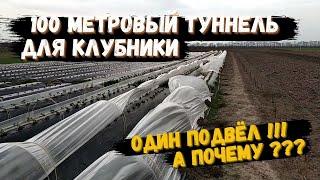 Всё таки не выдержал.... 100 метровый туннель(парник) для клубники.