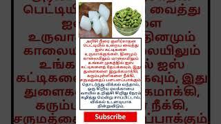Most brilliant gk question #tamilgk #tamilsong #tamilshorts #shorts #short #gk #tamilnadu #tamil