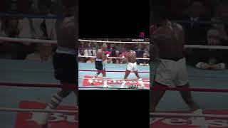 marvellous marvin hagler gazelle jab