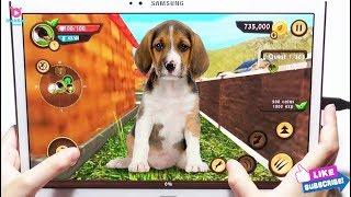 Dog Simulator "Dog Sim Online: Raise a Family" Android (Mobil) Gameplay (HANDYCAM)