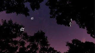 Cicadas At Night : Relaxing Sleep Sounds
