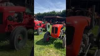 Trattori Agricoli spettacolo... #tractors