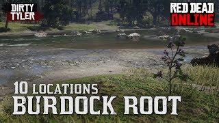 Burdock Root Locations Red Dead Online (Burdock Root Location RDR2)