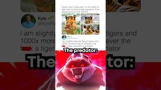 What are tigers scared of? ️