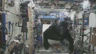 Tim Peake chased around ISS by a gorilla