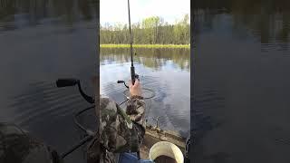Рыбалка на реке.Фидер